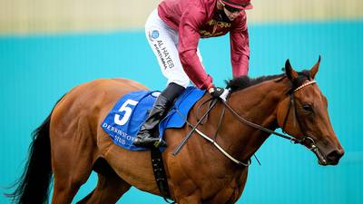 Johnny Murtagh excited as Know It All returns to action at the Curragh