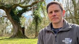 Irish Wildlife Trust campaigns officer resigns after blog edited and parts removed