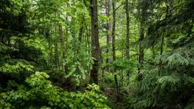 Department refutes charge of forests as net greenhouse gas emitter