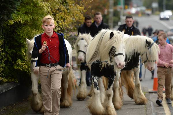 Higgins is no dark horse amid fawning crowds in Ballinasloe
