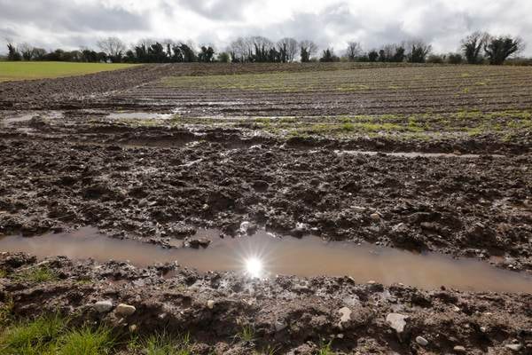 Late harvest and lower crop yields in store as rain delays planting