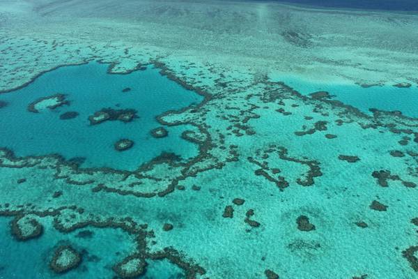 UN angers Australia with Great Barrier Reef recommendation
