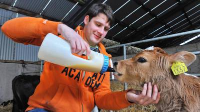 Milk quota: Young farmer has high hopes for expansion