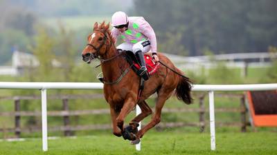 Annie Power looks strong for Winter Festival card