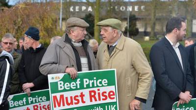 Farm leader warns of ‘knee-jerk reactions’ to rise in deaths