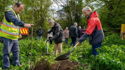 Cork community plants trees for those who died during pandemic
