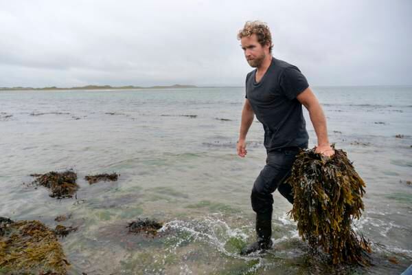 What I Do: I’m the fourth generation to harvest seaweed for our family’s baths in Sligo