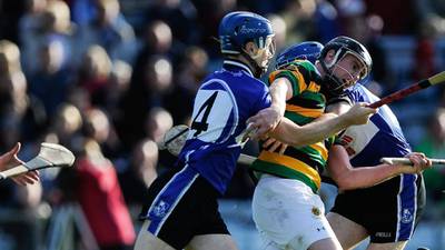 Clinical Sarsfields sweep to Cork senior hurling title