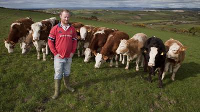 Cork farmer takes ‘holistic’ green approach to beef production