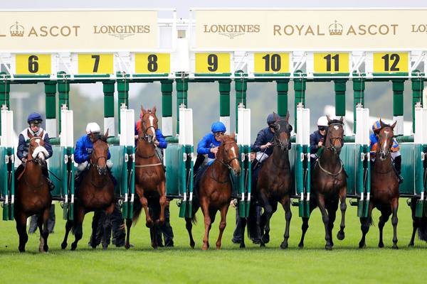 Horse Racing Ireland announces plans to tighten up anti-doping measures