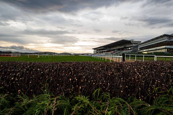 Leopardstown to continue watering and ensure ground is ‘fit for purpose’