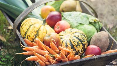 How to make the most of an autumn garden harvest