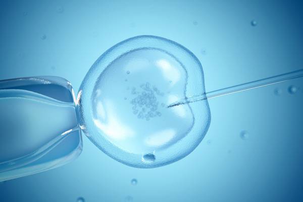 More than 400 referrals made for State-funded fertility treatment since September