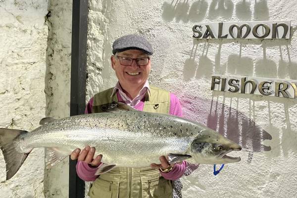 Specimen salmon caught on river Drowes for first time in 36 years