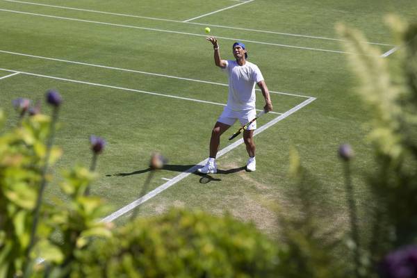 Wimbledon draw: Federer and Nadal could meet in semi-final