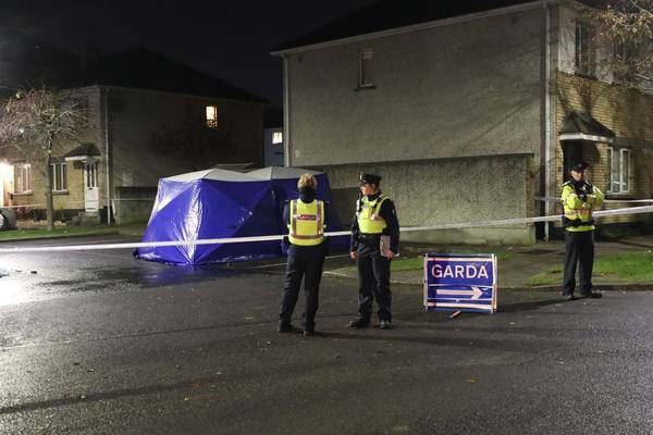 Gardaí suspect man found dead in burning car had been shot