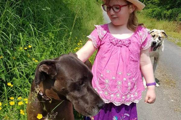 Girl (8) ‘so happy’ as missing assistance dogs are found