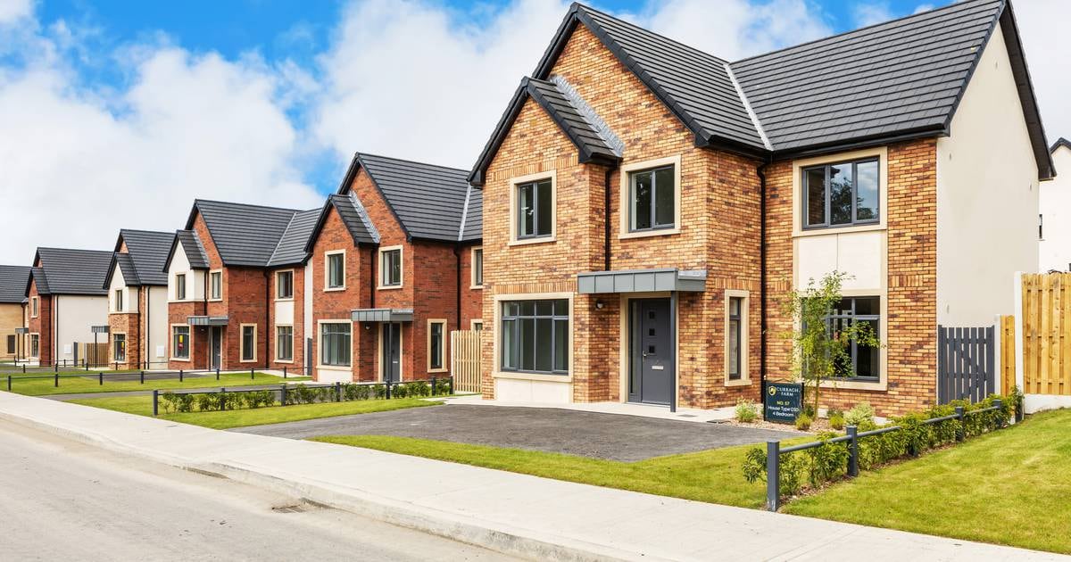 Nouvelles maisons et appartements à Newbridge, près des plaines vallonnées du Curragh, à partir de 265 000 € – The Irish Times