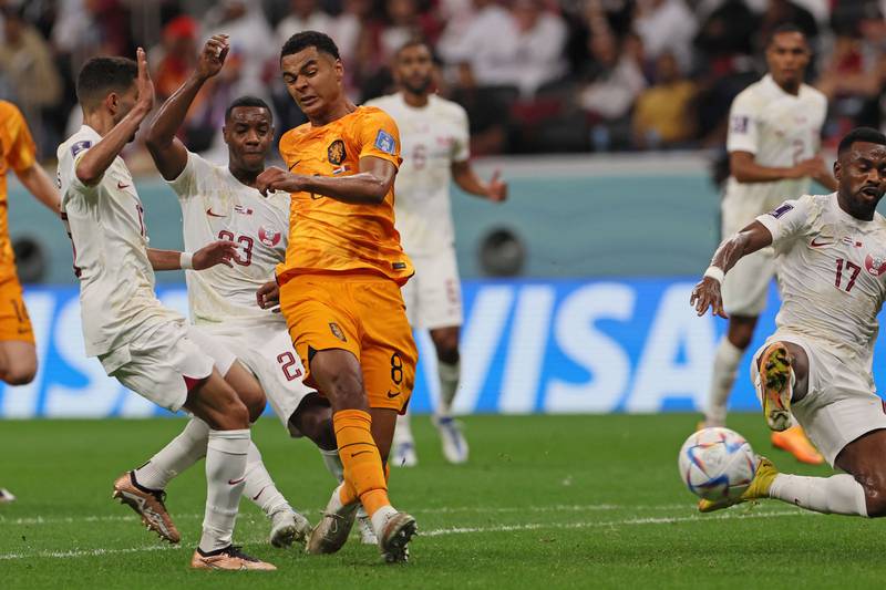 Cody Gakpo on target again as Netherlands stroll past Qatar to top Group A