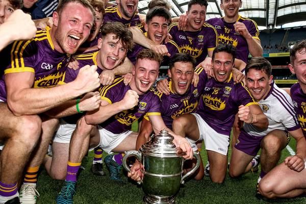 Wexford lauds Davy Fitzgerald after historic Leinster double