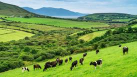 The technology centre driving growth and sustainability in Irish dairy processing