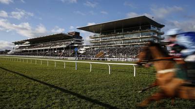 Cheltenham race abandoned after horse dies in sweltering heat