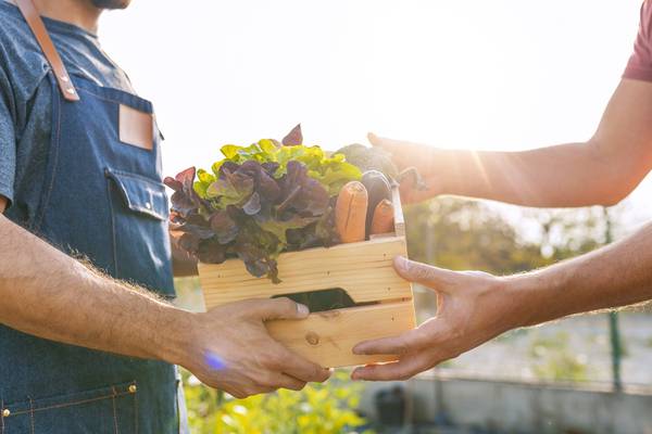 Frustrated at food waste? Food-sharing app Olio launches in Ireland