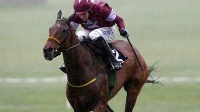 Road to Riches builds up preparation before Leopardstown
