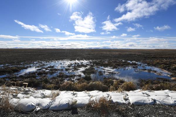 Alaska sets new record high December temperature of 19.4C