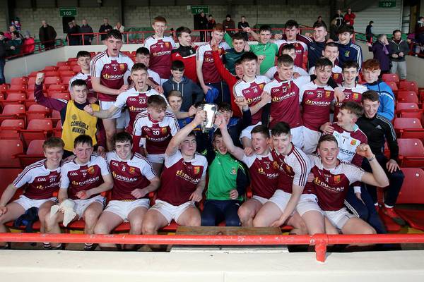Templemore finally bridge 39 year gap with Harty Cup triumph