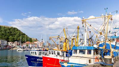 Brexit: UK seeks to strip EU fishermen of 80% of fish caught in British waters