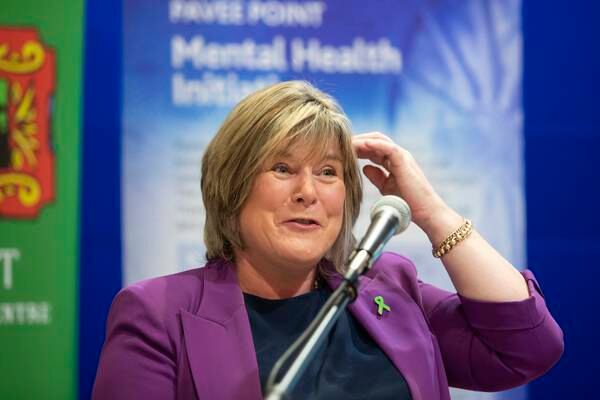 Changes to Fair Deal put on hold pending independent review, Minister says