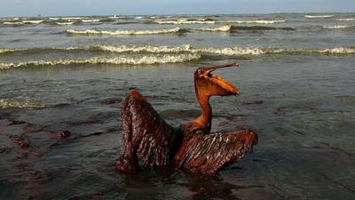 Gulf of Mexico-style oil spill ‘could happen again’