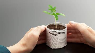 Greenwashing: How investors can cut through the sustainable spin