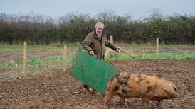 Clarkson’s Farm review: Farming is tough nowadays – even for millionaire dabblers bankrolled by Jeff Bezos