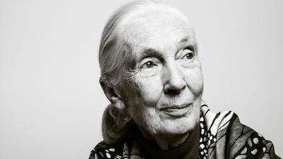 Jane Goodall: ‘I’m not going to give in. I’ll die fighting, that’s for sure’