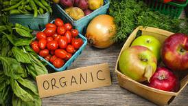 Increased payments for organic farmers announced