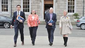 Reformed Dáil may not be fully functioning until autumn