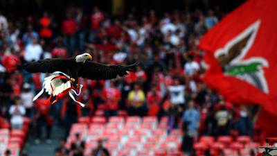 In bid to shoot the messenger, Benfica take aim at bloggers
