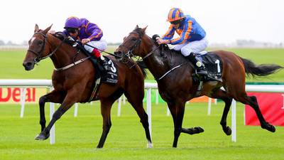 Wicklow Brave faces tall order to repeat Irish St Leger heroics