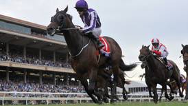 Breeders Cup racing will see 15 Irish-trained horses among European challenge