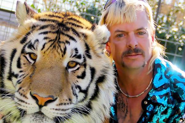 Tiger King: You wait years for just one animal-collecting weirdo, then half a dozen arrive at once