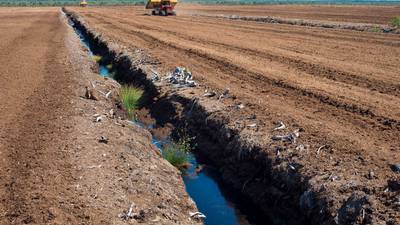 Legal ban on enforcement action over unlicensed peat extraction lifted by court