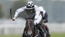 Eddie Lynam heads for Ascot without star filly Agnes Stewart
