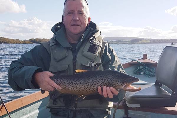 Angling: Lough Sheelin centre stage with two highly successful fly fishing competitions