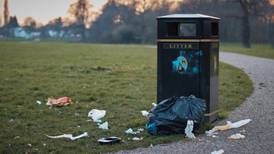 What is in the average Irish litter bin?