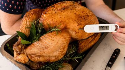 Fear gobbles confidence as 78% unaware of right way to cook turkey