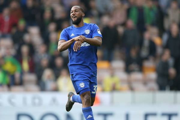 Cardiff maintain promotion hopes with win over Norwich