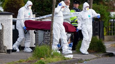 Dublin criminal expected to seek revenge for Hamid Sanambar murder
