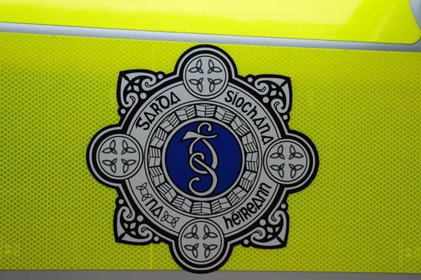 Two teenagers arrested over shots fired at Garda car in Tallaght
